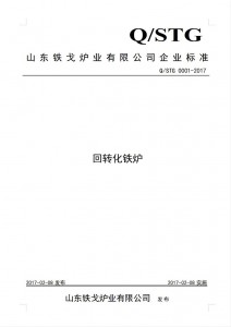 Q/STG企業(yè)標(biāo)準(zhǔn)